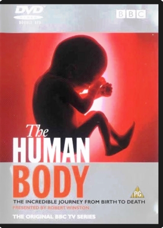 bbc the human body