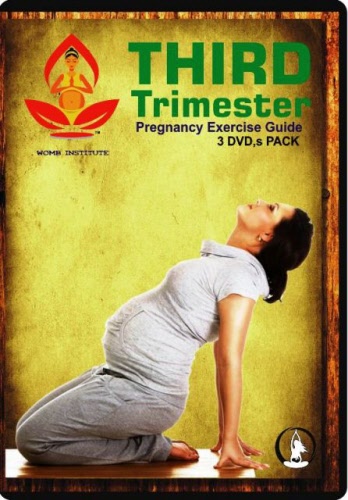 3rd trimester dvdpregnancy exercise guide 3rd trimester 3 dvd,s_20201028090226