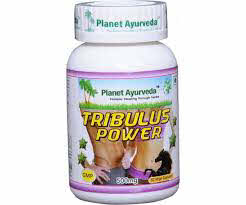 Planet Ayurveda Tribulus Power Capsule