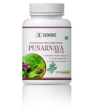 Zenonz-Punarnava-500mg-Capsule_20200226152931